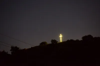 DSC_0753 (Large).JPG